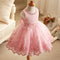 Emily's Lace Dress - TinyTacker