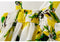 Floral Print Bow Sleeveless Dress - TinyTacker