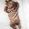 Cute Animal Bear Outfit - TinyTacker