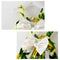 Lemon Print Wilhelmina's Dress - TinyTacker