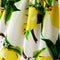 Lemon Print Wilhelmina's Dress - TinyTacker