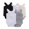 Ezra's 5pcs Summer Bodysuits - TinyTacker